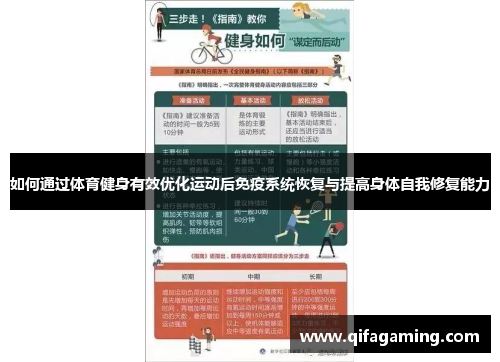 如何通过体育健身有效优化运动后免疫系统恢复与提高身体自我修复能力